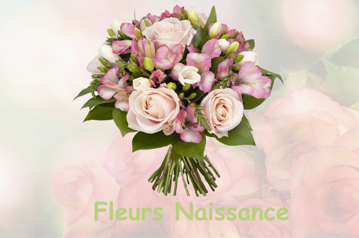 fleurs naissance LAVIGNY